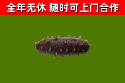 平安区烟酒回收干海参.jpg